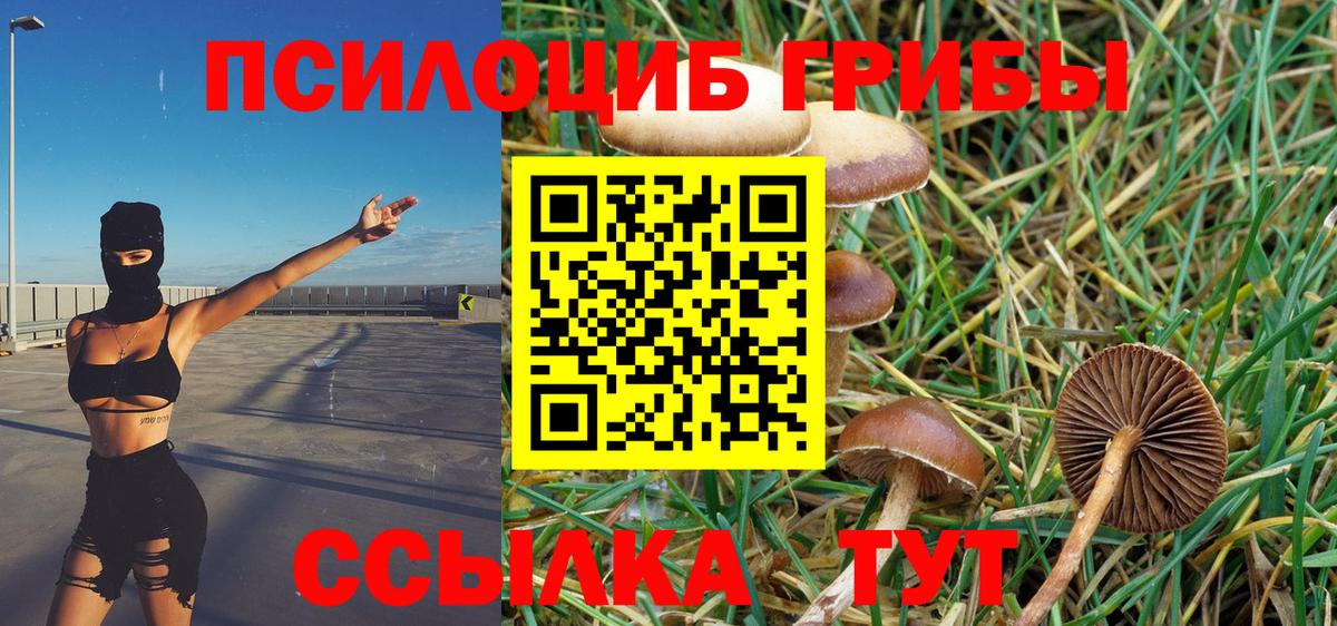 Псилоцибиновые грибы Magic Shrooms Конаково