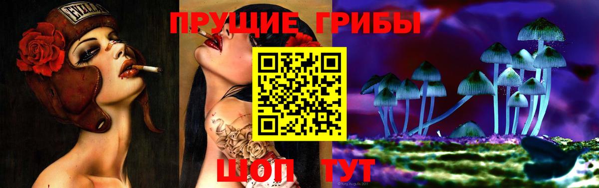 Конаково  Галлюциногенные грибы Psilocybe  Вход с VPN 